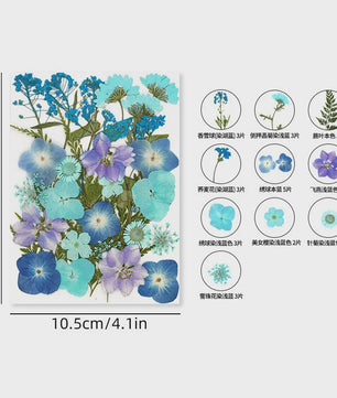 30 Stuks Gedroogde Persbloemen - Natuurlijke Bloemen & Bladeren voor Resin Art, Knutselen en Decoratie