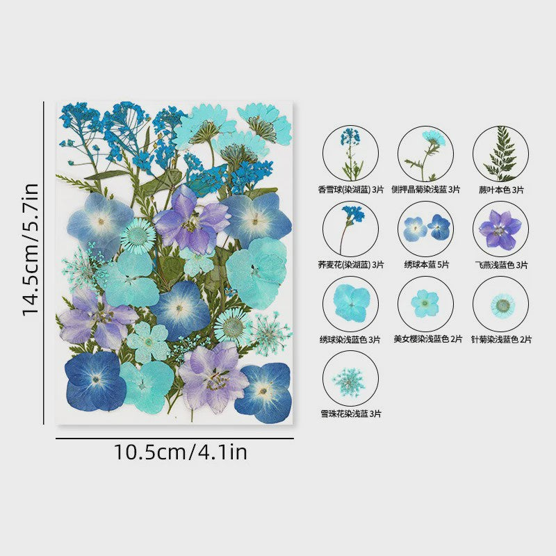 30 Stuks Gedroogde Persbloemen - Natuurlijke Bloemen & Bladeren voor Resin Art, Knutselen en Decoratie