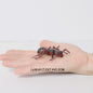 Montessori Levenscyclus Insecten Speelgoed: Spin, Duizendpoot, Schorpioen & Mier