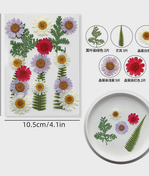 Set Gedroogde Bloemen & Bladeren (16-19 Stuks) - Natuurlijk & Realistisch