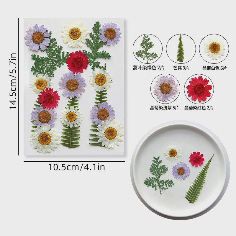 Set Gedroogde Bloemen & Bladeren (16-19 Stuks) - Natuurlijk & Realistisch
