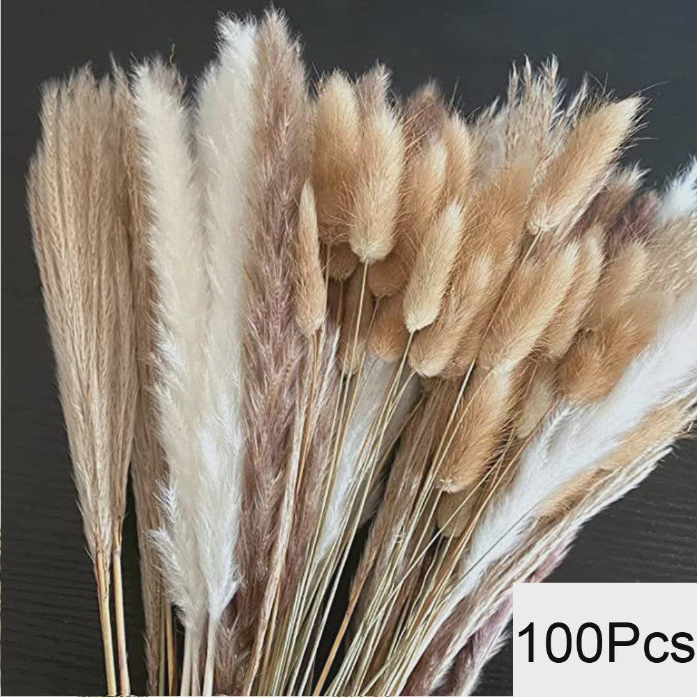 Natuurlijk Pampas Gras Boeket - Gedroogde Bloemen voor Boho Woondecoratie & Bruiloft