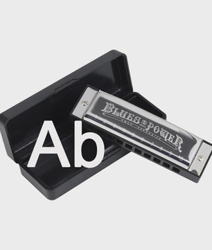 Professionele Diatonische Blues Harmonica - 10 Gaten, 20 Tonen, Inclusief Koffer