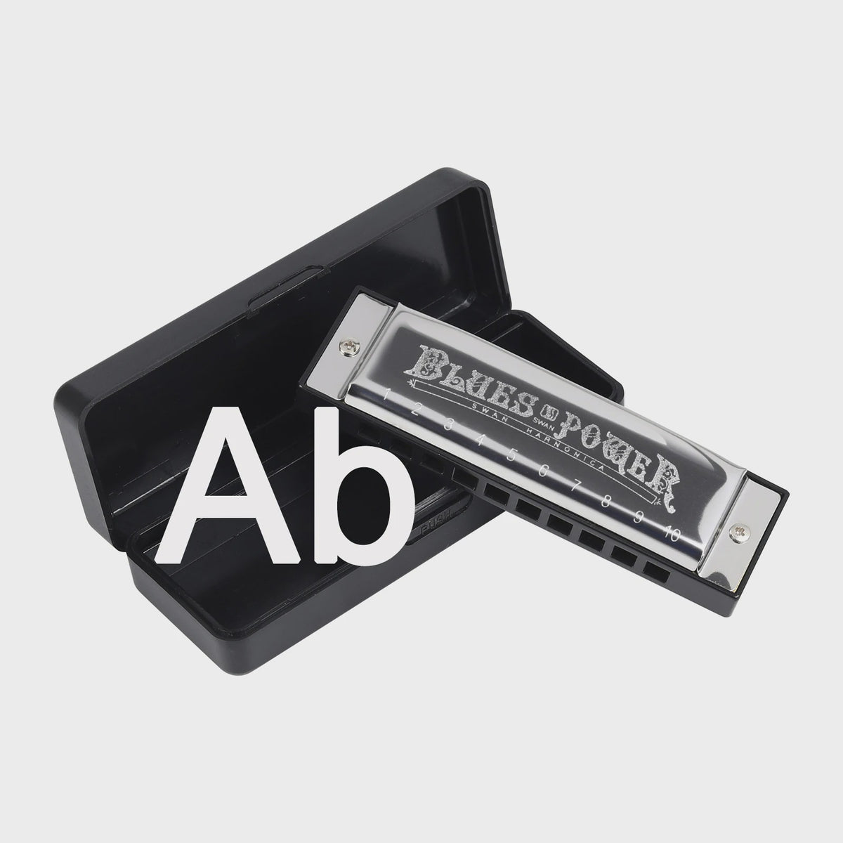 Professionele Diatonische Blues Harmonica - 10 Gaten, 20 Tonen, Inclusief Koffer