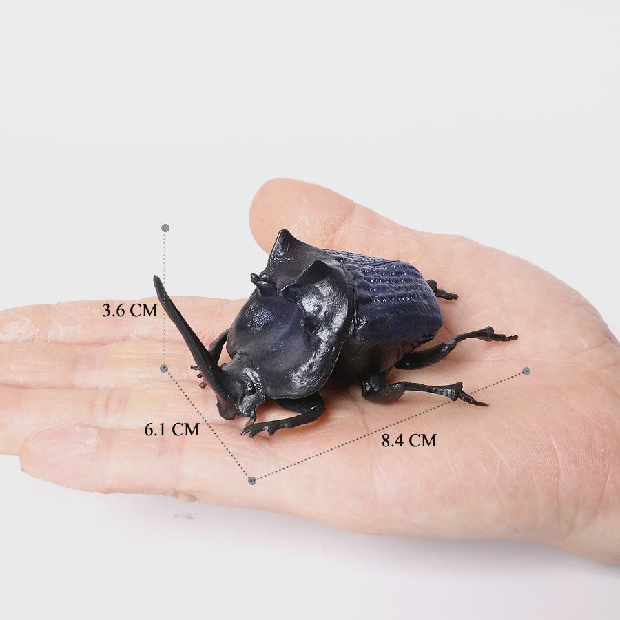 Realistische Insecten & Slakken Modellen - Educatief Speelgoed, Verzamelen & Decoratie