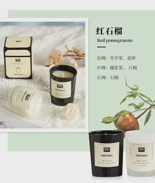 Geurkaars met Plantenextract - Aromatherapie & Luchtzuivering voor Huis en Slaapkamer