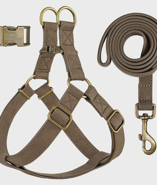 Luxe PU Leder Hondentuig met Leash en Gepersonaliseerde ID Gesp - Duurzaam voor Kleine & Middelgrote Honden