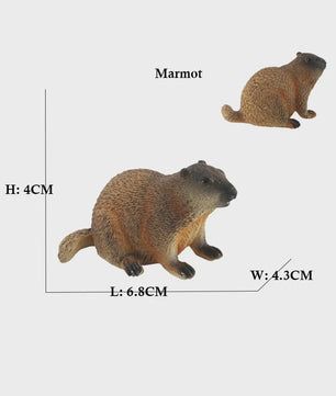 Set van 6 Realistische Dierenbeeldjes: Capibara, Eekhoorn & Marmot Speelgoed
