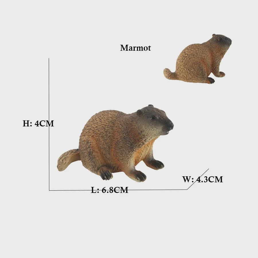 Set van 6 Realistische Dierenbeeldjes: Capibara, Eekhoorn & Marmot Speelgoed