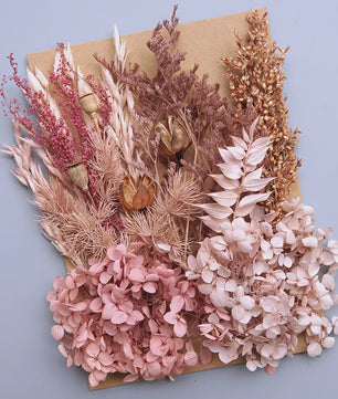 Set Gedroogde Bloemen & Hydrangea voor Ambacht & Decoratie