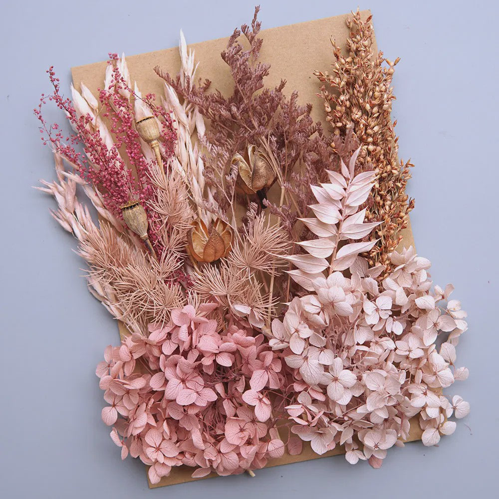 Set Gedroogde Bloemen & Hydrangea voor Ambacht & Decoratie