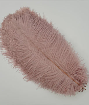 Set van 10 Gekleurde Struisvogelveren voor Knutselen, Decoratie en Feesten