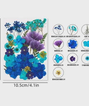 30 Stuks Gedroogde Persbloemen - Natuurlijke Bloemen & Bladeren voor Resin Art, Knutselen en Decoratie