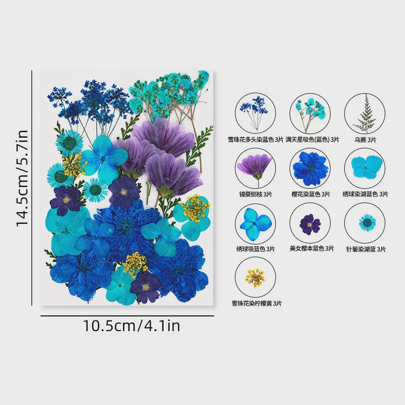 30 Stuks Gedroogde Persbloemen - Natuurlijke Bloemen & Bladeren voor Resin Art, Knutselen en Decoratie