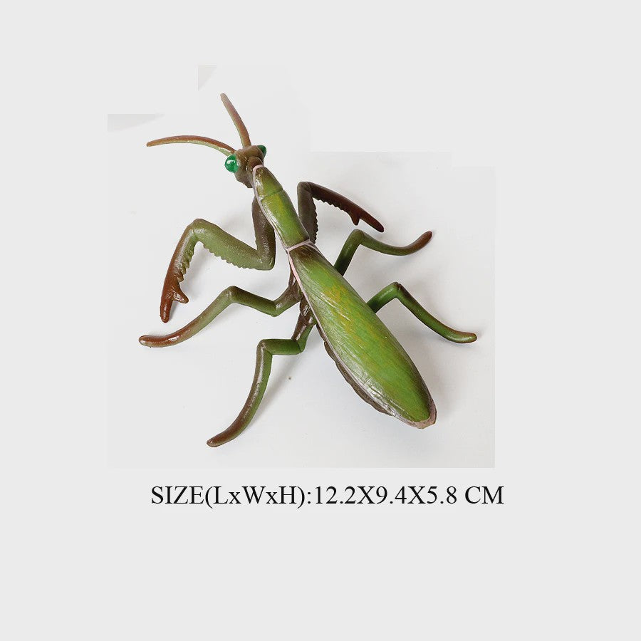 Realistische Insecten Model Figuren: Bidsprinkhaan, Bladwesp & Meer - Educatief Speelgoed & Decoratie