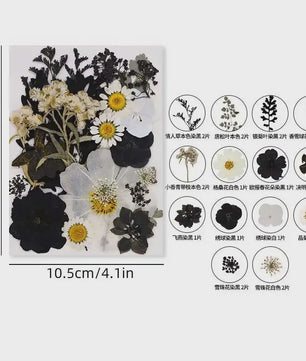 Set Gedroogde Bloemen & Bladeren (16-19 Stuks) - Natuurlijk & Realistisch