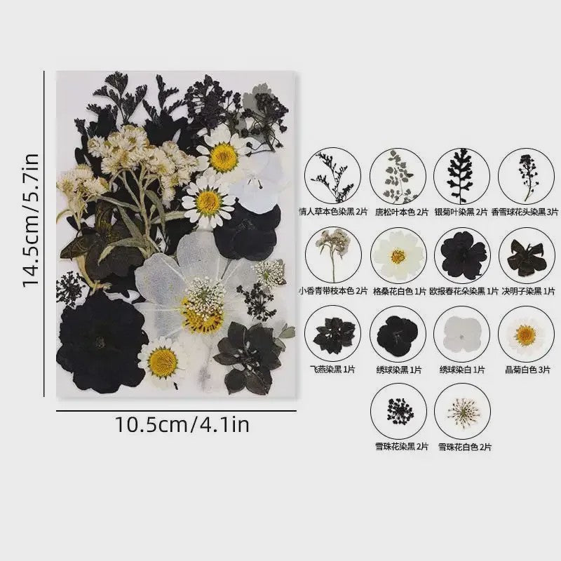 Set Gedroogde Bloemen & Bladeren (16-19 Stuks) - Natuurlijk & Realistisch