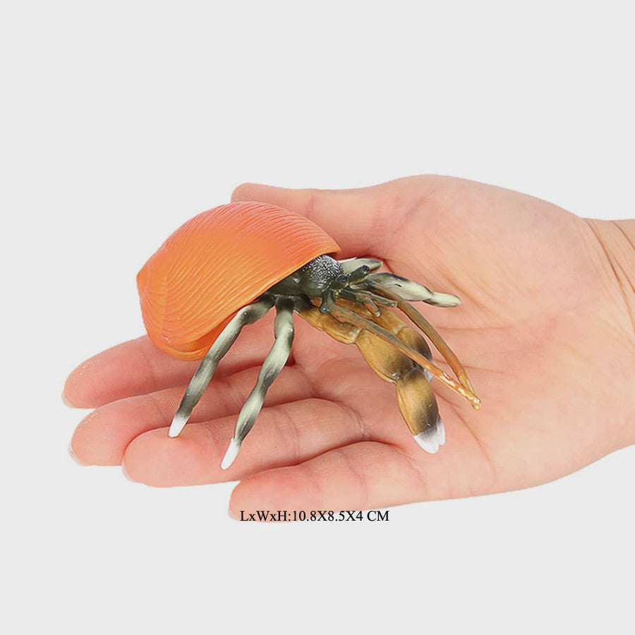 Realistische Heremietkreeft Figuur - Duurzaam PVC Zeedier Speelgoed voor Kinderen