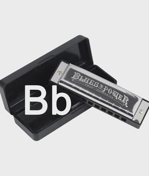 Professionele Diatonische Blues Harmonica - 10 Gaten, 20 Tonen, Inclusief Koffer