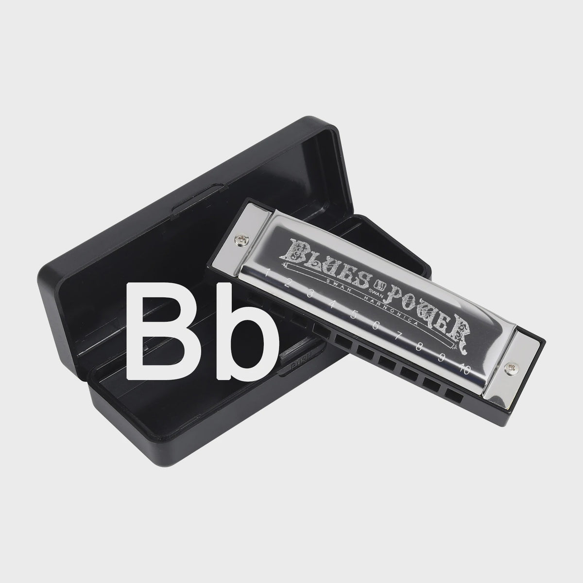Professionele Diatonische Blues Harmonica - 10 Gaten, 20 Tonen, Inclusief Koffer