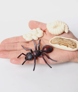 Montessori Levenscyclus Insecten Speelgoed: Spin, Duizendpoot, Schorpioen & Mier