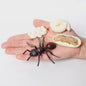 Montessori Levenscyclus Insecten Speelgoed: Spin, Duizendpoot, Schorpioen & Mier