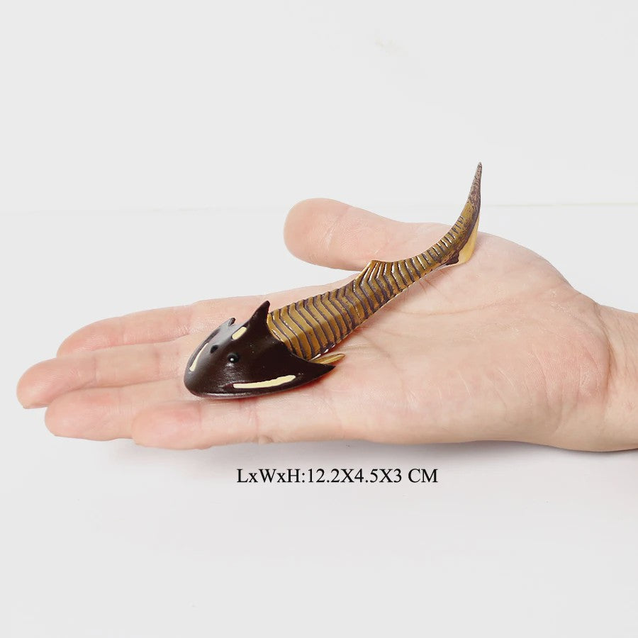 Educatieve Prehistorische Zeedieren Figuren Set: Baculite, Opabinia, Krab & Meer