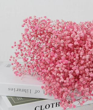 60g Gedroogde Baby's Breath Bloemboeket - Natuurlijke Gypsophila Decoratie