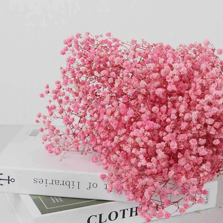 60g Gedroogde Baby's Breath Bloemboeket - Natuurlijke Gypsophila Decoratie
