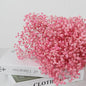 60g Gedroogde Baby's Breath Bloemboeket - Natuurlijke Gypsophila Decoratie