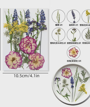 Set Gedroogde Bloemen & Bladeren (16-19 Stuks) - Natuurlijk & Realistisch