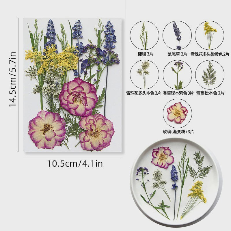 Set Gedroogde Bloemen & Bladeren (16-19 Stuks) - Natuurlijk & Realistisch
