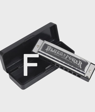 Professionele Diatonische Blues Harmonica - 10 Gaten, 20 Tonen, Inclusief Koffer
