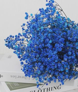 60g Gedroogde Baby's Breath Bloemboeket - Natuurlijke Gypsophila Decoratie