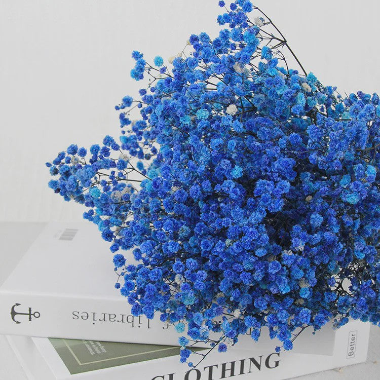 60g Gedroogde Baby's Breath Bloemboeket - Natuurlijke Gypsophila Decoratie