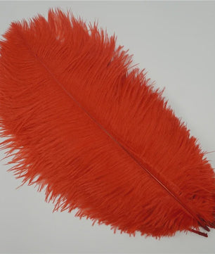 Set van 10 Gekleurde Struisvogelveren voor Knutselen, Decoratie en Feesten