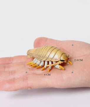 Educatieve Prehistorische Zeedieren Figuren Set: Baculite, Opabinia, Krab & Meer