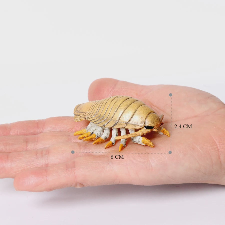 Educatieve Prehistorische Zeedieren Figuren Set: Baculite, Opabinia, Krab & Meer
