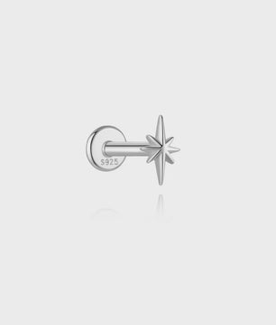 925 Sterling Zilveren Kolibrie Oorbellen Dames - 18K Goudkleurig Platte Achterkant Studs