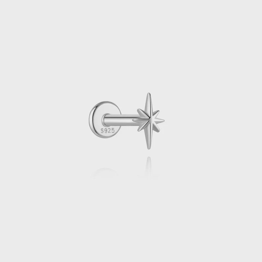 925 Sterling Zilveren Kolibrie Oorbellen Dames - 18K Goudkleurig Platte Achterkant Studs