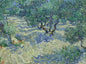 DIY Diamond Painting: Van Gogh Meesterwerken - Almond Blossoms & Starry Night