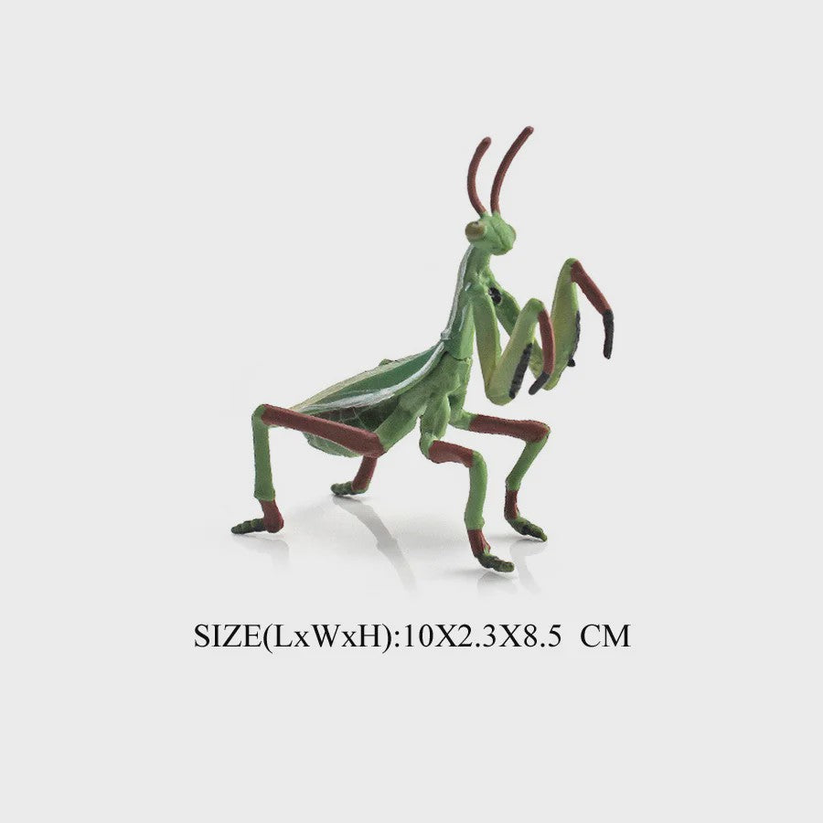 Realistische Insecten Model Figuren: Bidsprinkhaan, Bladwesp & Meer - Educatief Speelgoed & Decoratie