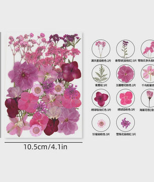 30 Stuks Gedroogde Persbloemen - Natuurlijke Bloemen & Bladeren voor Resin Art, Knutselen en Decoratie