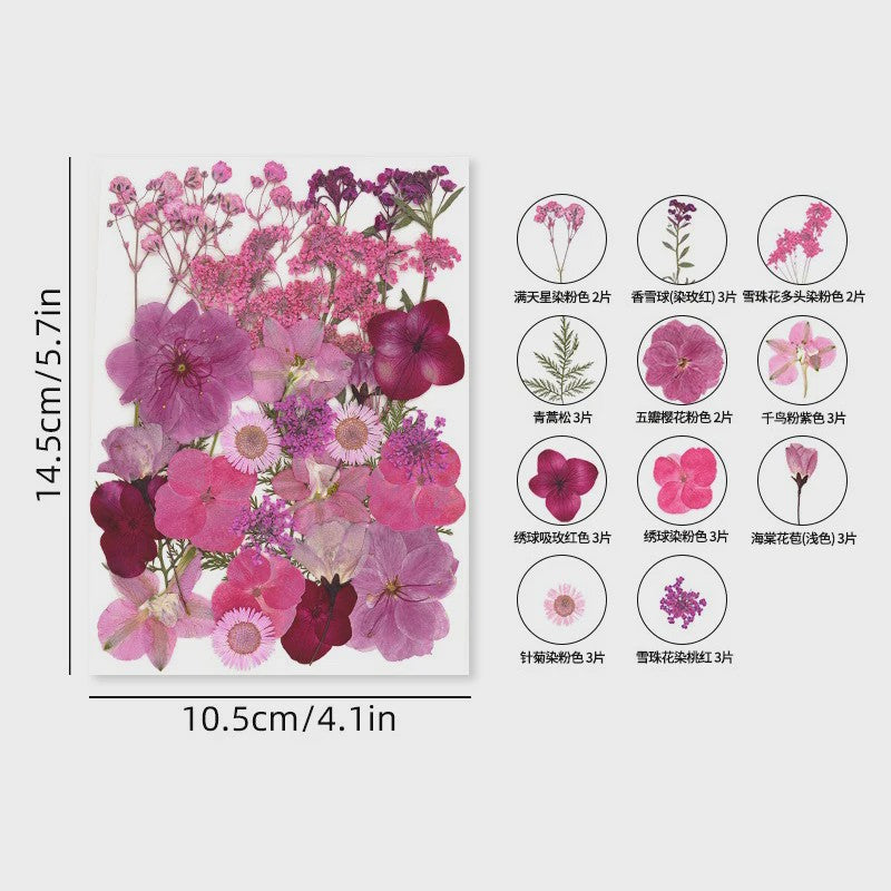 30 Stuks Gedroogde Persbloemen - Natuurlijke Bloemen & Bladeren voor Resin Art, Knutselen en Decoratie