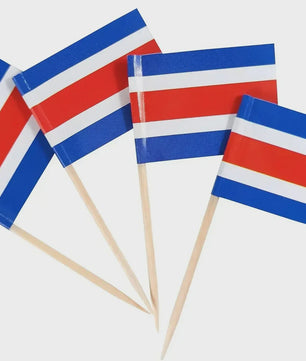 100x Mini India Vlaggetjes op Houten Prikkers - Ideaal voor Cupcakes, Cocktails & Feestdecoratie