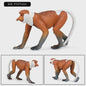 Oenux Wild Animal Speelfiguren: Aap, Chimpansee, Orang-oetan & Gibbon (PVC)