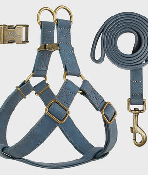Luxe PU Leder Hondentuig met Leash en Gepersonaliseerde ID Gesp - Duurzaam voor Kleine & Middelgrote Honden
