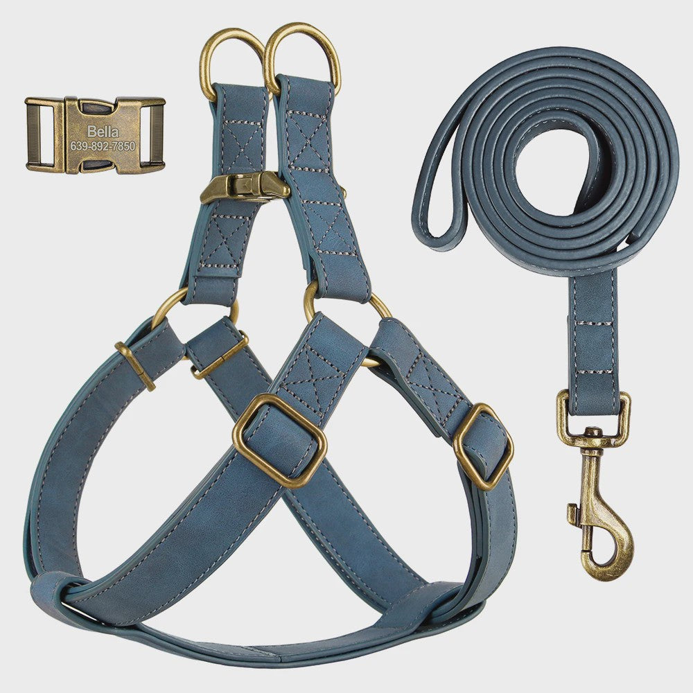 Luxe PU Leder Hondentuig met Leash en Gepersonaliseerde ID Gesp - Duurzaam voor Kleine & Middelgrote Honden