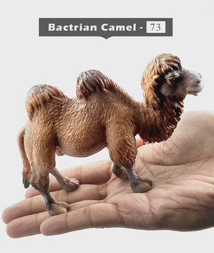 Set Dierenfiguren: Panda, Hert, Nijlpaard, Neushoorn, IJsbeer, Giraf, Kameel & Zebra - Decoratie Beeldjes