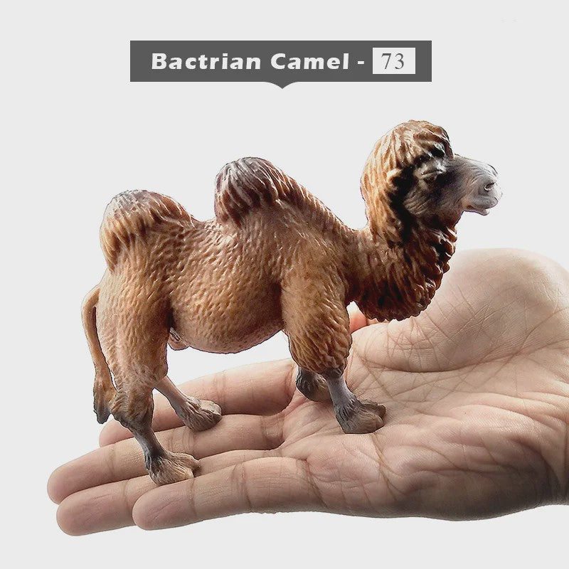 Set Dierenfiguren: Panda, Hert, Nijlpaard, Neushoorn, IJsbeer, Giraf, Kameel & Zebra - Decoratie Beeldjes